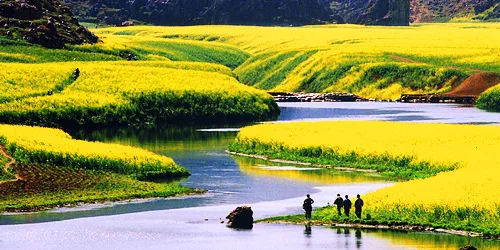 Diverse Landscape
