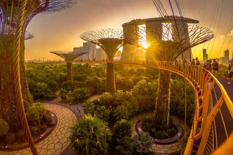 Garden by the Bay