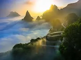 Nature Wonder