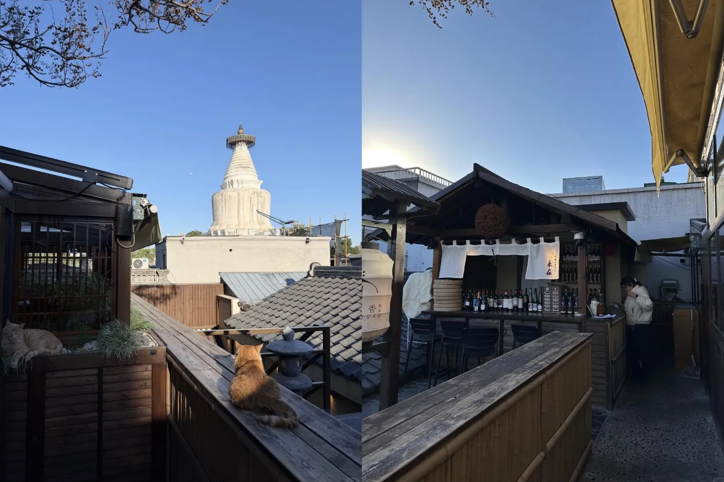 Bistro Yume · 梦·吟香 | 700-Year-Old Nepalese-Designed White Pagoda View